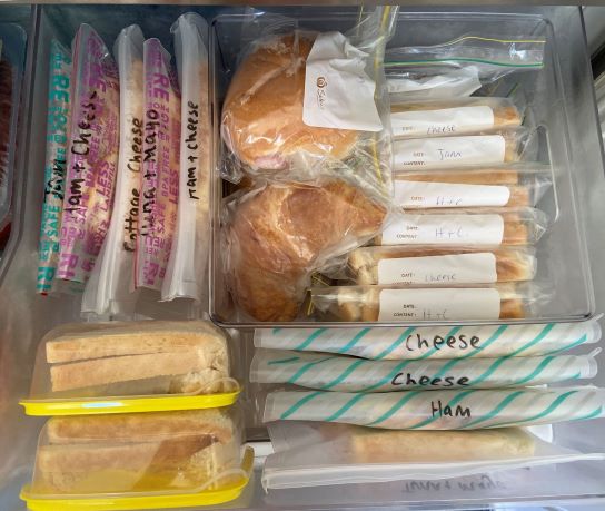 Frozen Sandwiches in Freezer